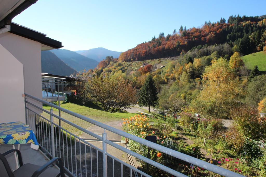 Steiert Panorama Apartments Todtnau Exterior photo